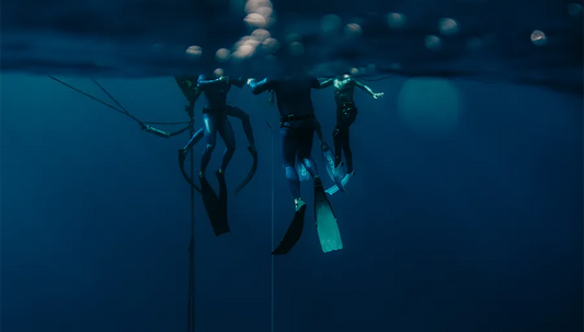 Nervous System Regulation: How Breathwork & Freediving Train Deep Inner Calm