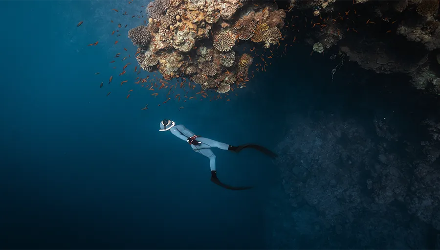 dahab immersion | ocean retreat