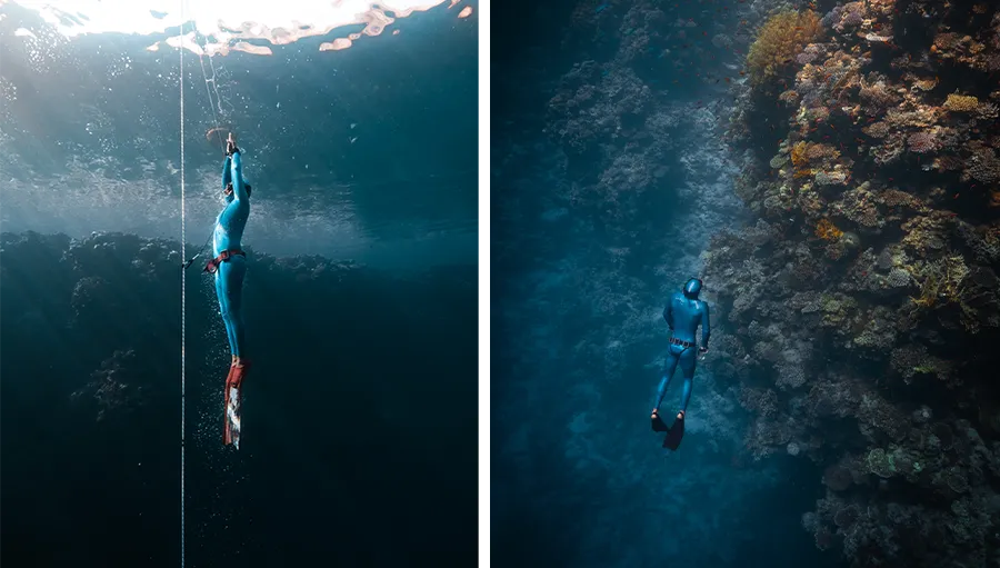 dahab immersion | ocean retreat