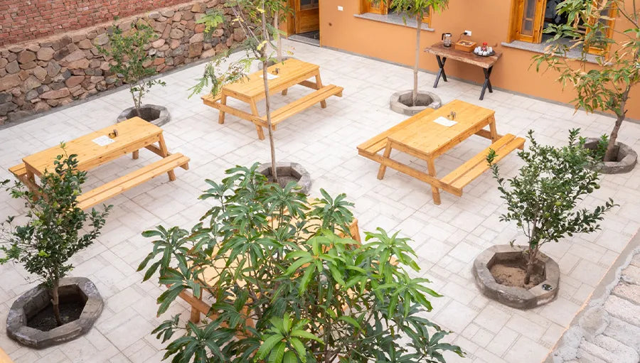 dahab immersion | ocean retreat