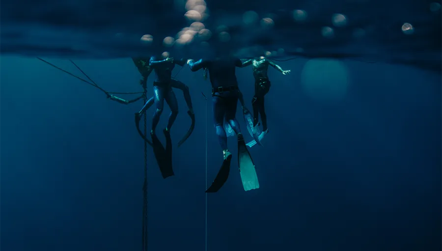 dahab immersion | ocean retreat