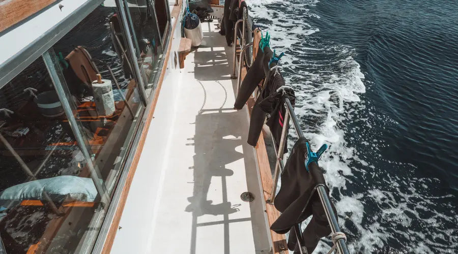 performance meets mind | ocean retreat