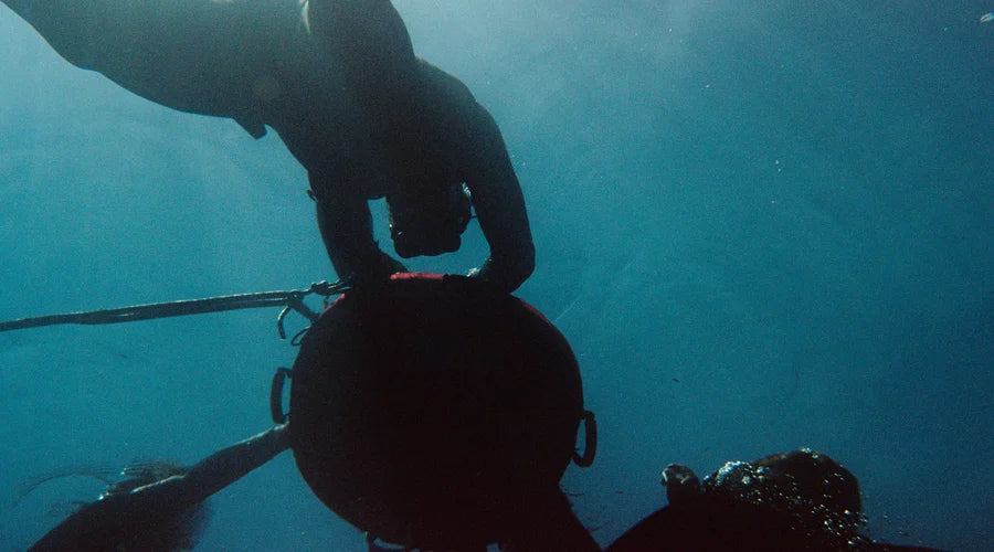 performance meets mind | ocean retreat